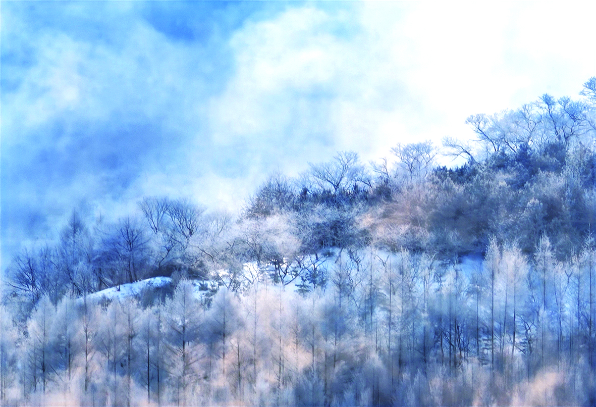 霧凇瑤林（作者：鞠鑫）