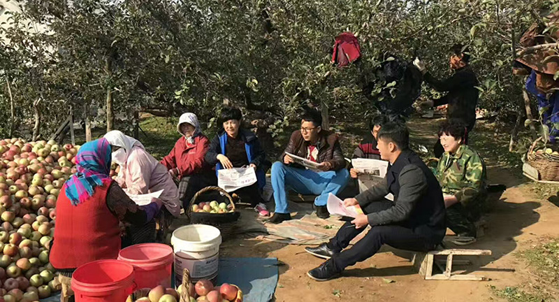 2——大連——村兩委組織村民開展協商議事 (1)